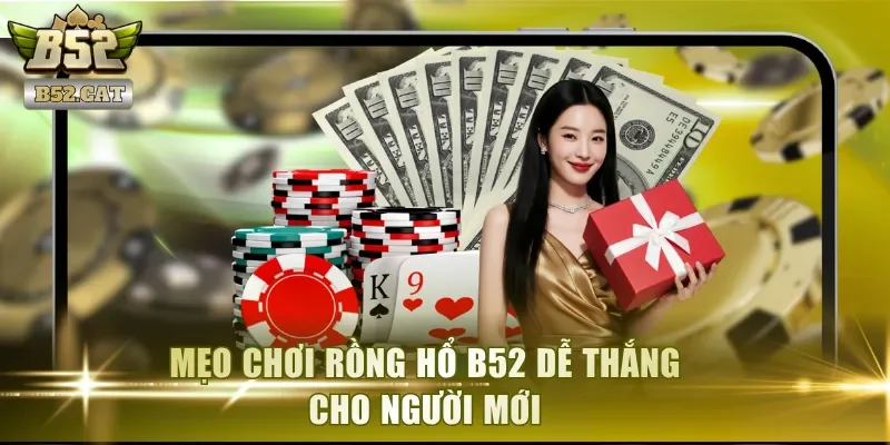 Mẹo chơi Rồng Hổ B52 dễ thắng cho người mới